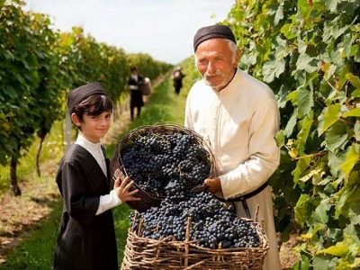 IEŠKOME DISTRIBUTORIŲ GRUZINIŠKAM VYNUI, CHACHAI BEI TABAKO GAMINIAMS