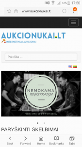 Internetinų Aukcionų tinklapis www.aukcionukai.lt