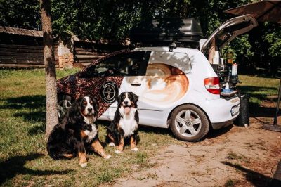 Mobilių Kavinių Verslas Ieško Naujų Šeimininkų!