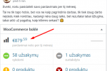 Sukurk savo internetinį verslą be pradinių investicijų - 2