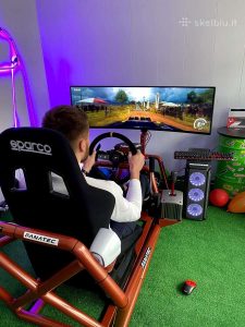 Sportiniu automobili6 simuliatoriai