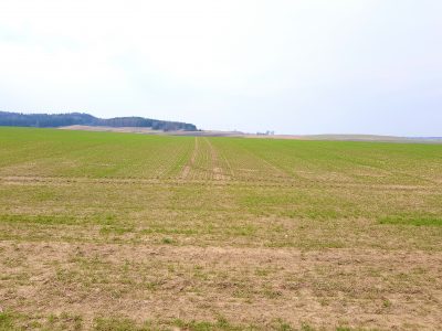Parduodama dirbamos žemės masyvai
