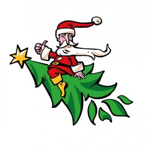 Parduodamas kalėdinių eglučių verslas - Christmastree Europe