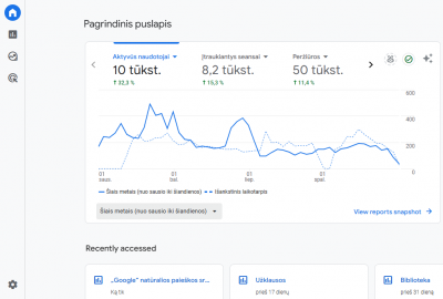 Elektroninė parduotuvė/e-shop pardavimas